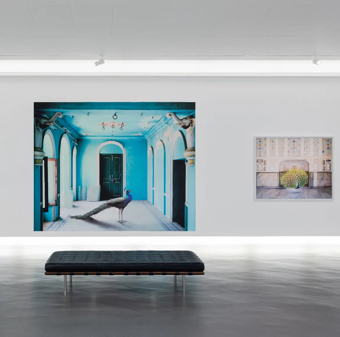 Vue de l'exposition de Karen Knorr au Centre d'art Contemporain de la Matmut - Daniel Havis
